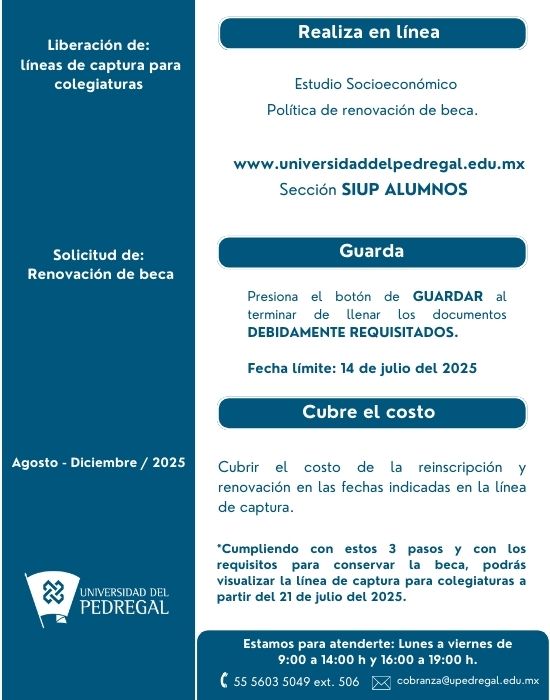 Renovación Beca